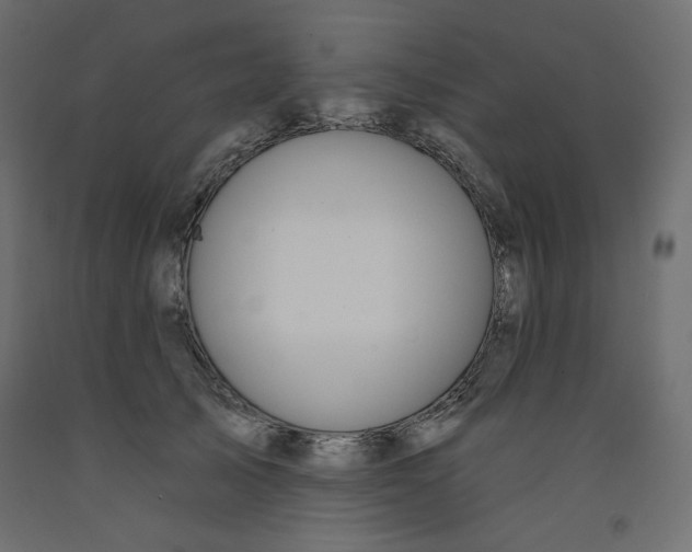 X0000092320705200710121522