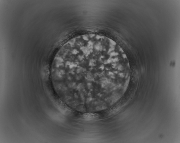 X0000092320707200710121522