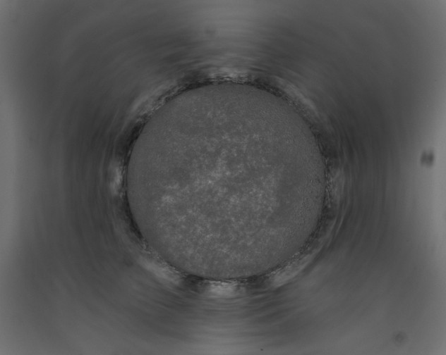 X0000092320709200710121522