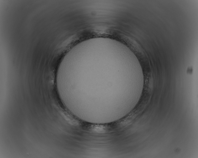 X0000092320710200710121522