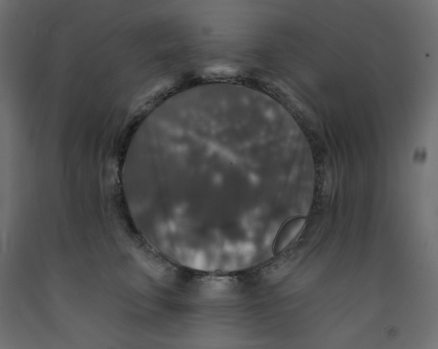 X0000092320711200710121522