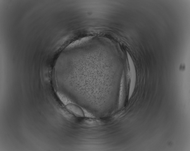 X0000092320712200710121522