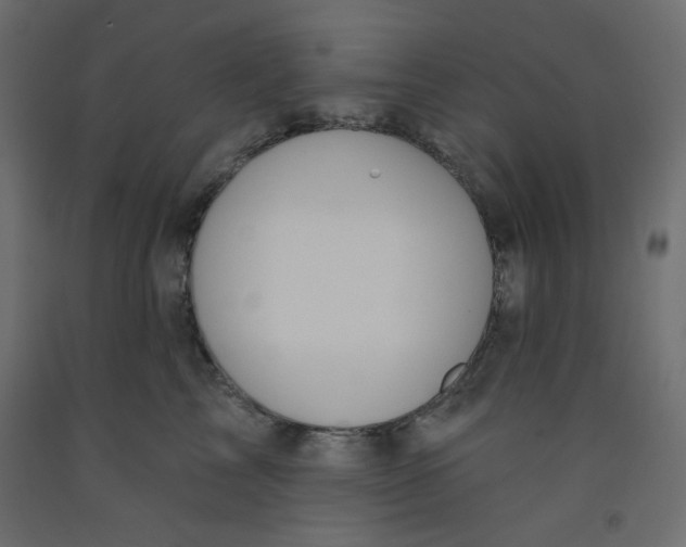 X0000092320713200710121522