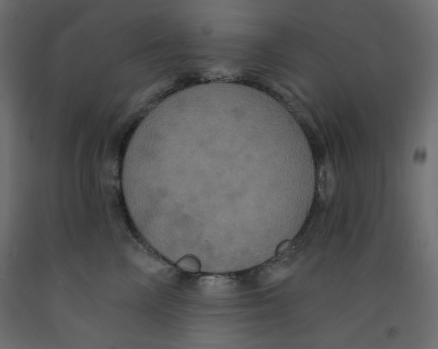 X0000092320714200710121522