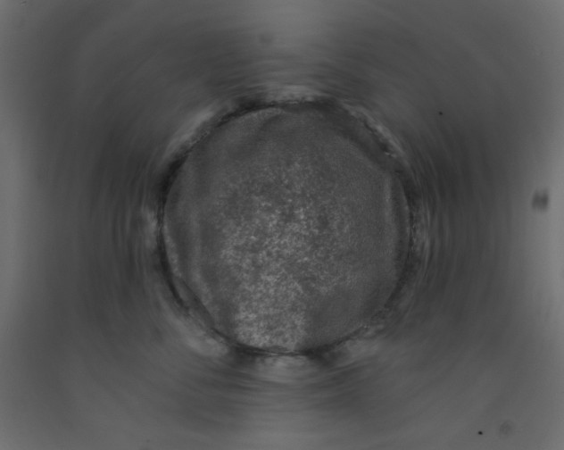 X0000092320716200710121522