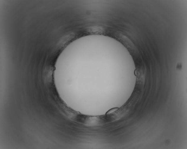 X0000092320717200710121522