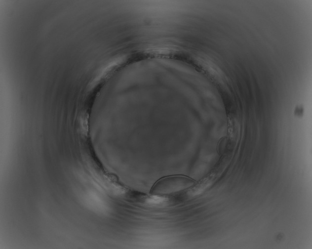 X0000092320718200710121522