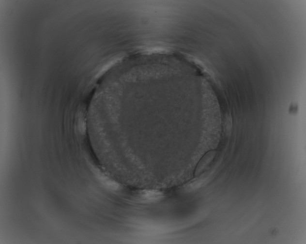 X0000092320719200710121522