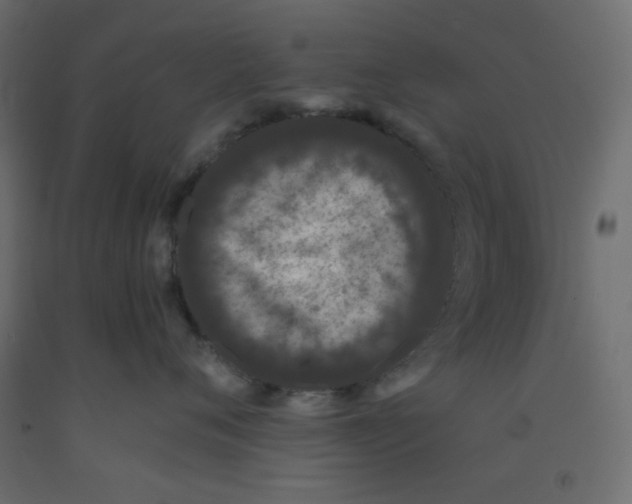 X0000092320720200710121522