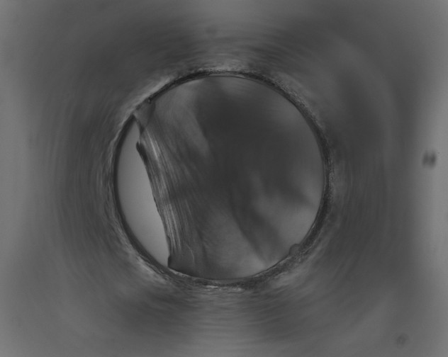 X0000092320721200710121521