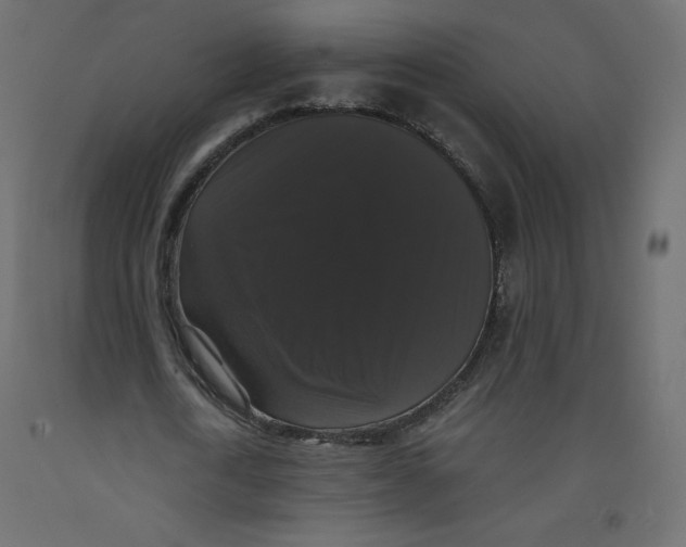 X0000092320722200710121522