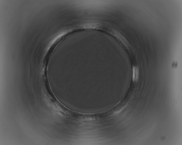 X0000092320723200710121522