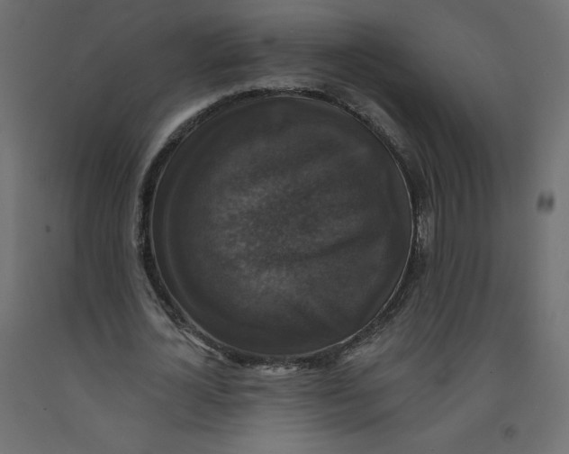 X0000092320724200710121522