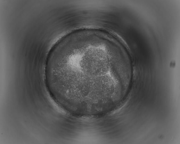 X0000092320725200710121522