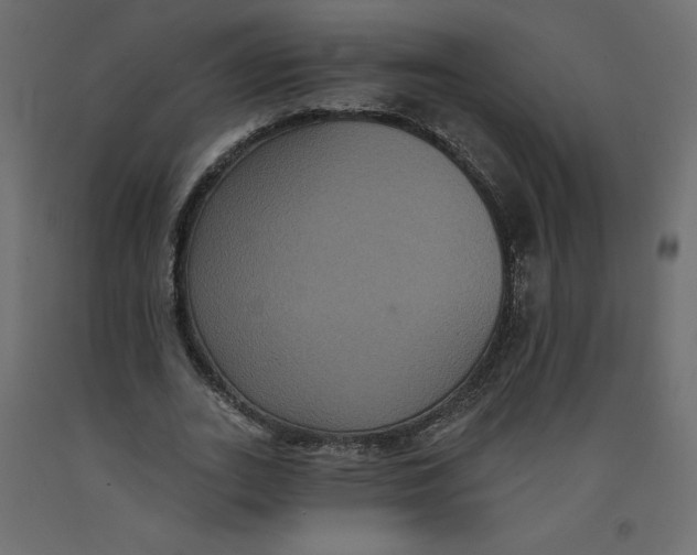X0000092320727200710121522