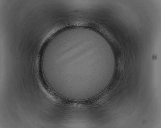 X0000092320730200710121522