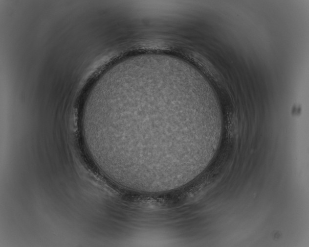 X0000092320731200710121522