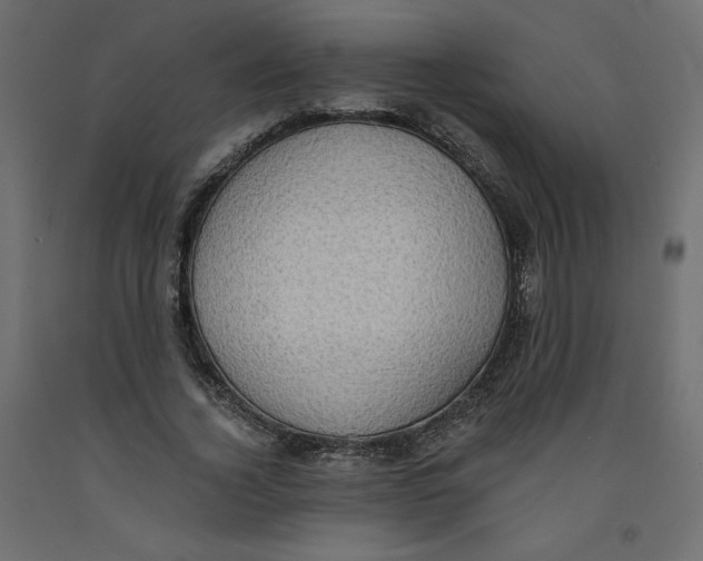 X0000092320732200710121522