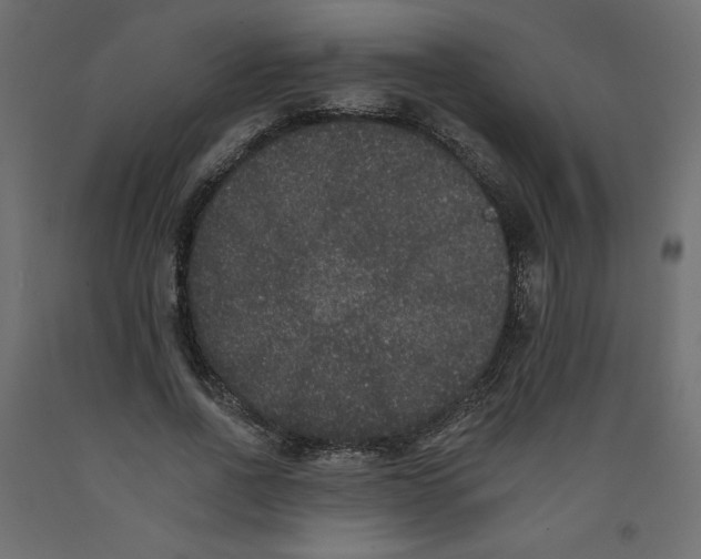 X0000092320734200710121522