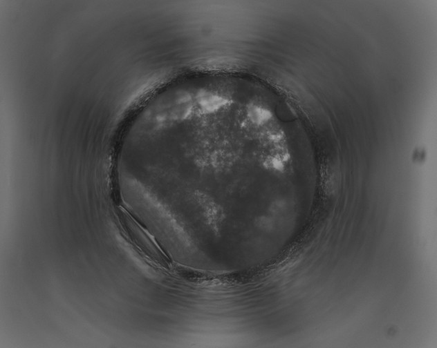 X0000092320735200710121522