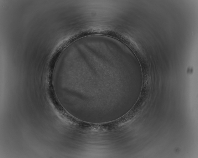 X0000092320736200710121522