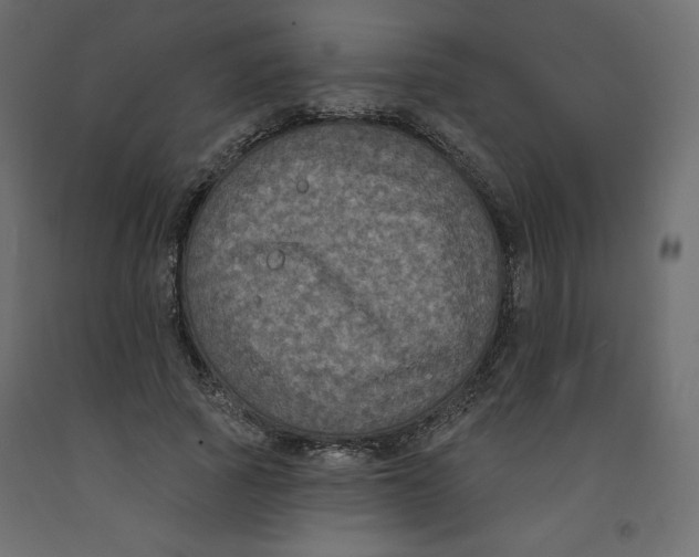 X0000092320737200710121522