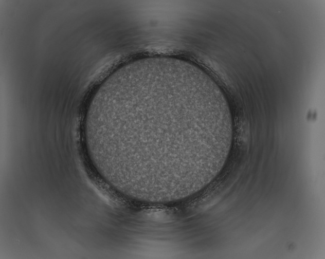 X0000092320738200710121522