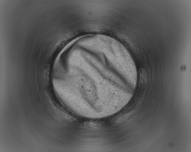 X0000092320739200710121522
