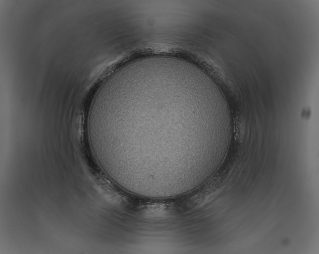 X0000092320740200710121522