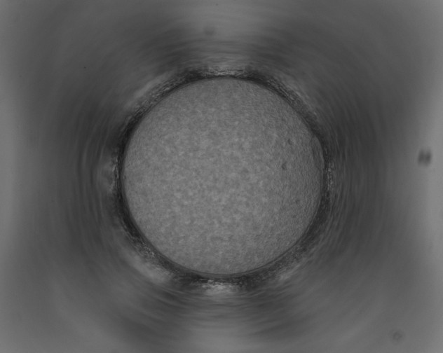 X0000092320741200710121522