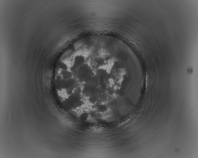 X0000092320742200710121522