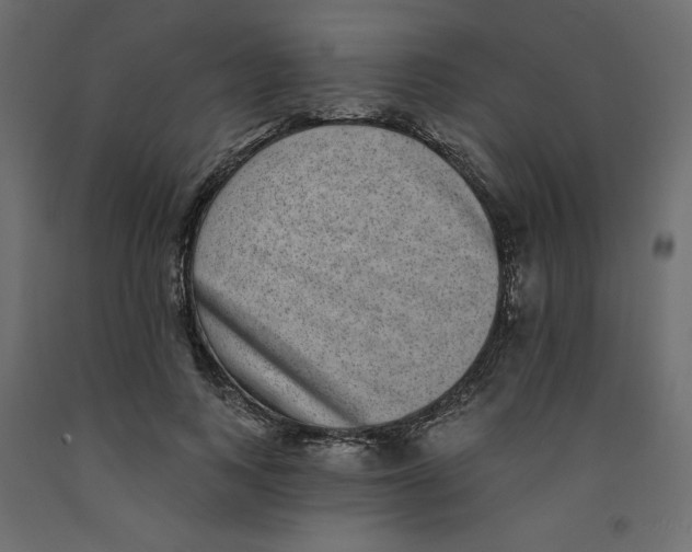 X0000092320743200710121522
