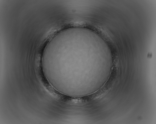 X0000092320744200710121522
