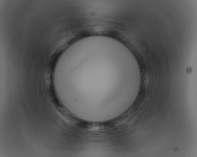 X0000092320746200710121522
