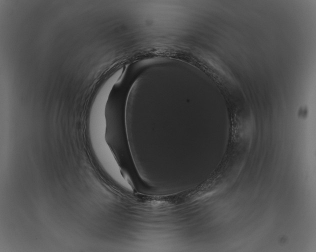 X0000092320748200710121522