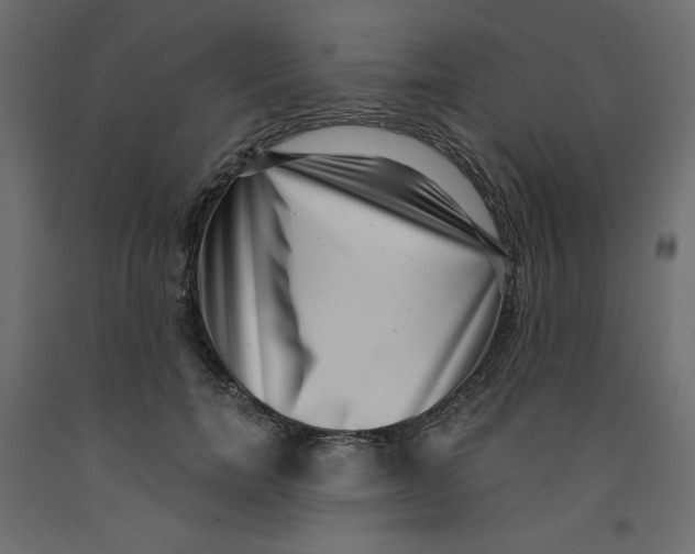 X0000092320750200710121522