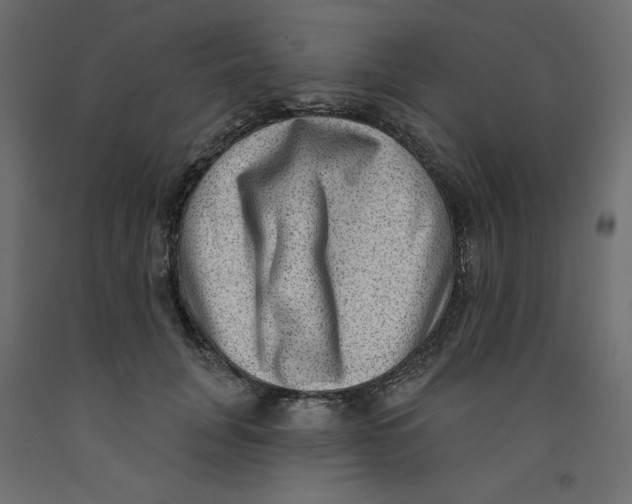 X0000092320751200710121522