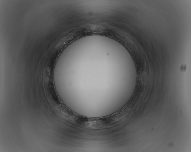 X0000092320752200710121522