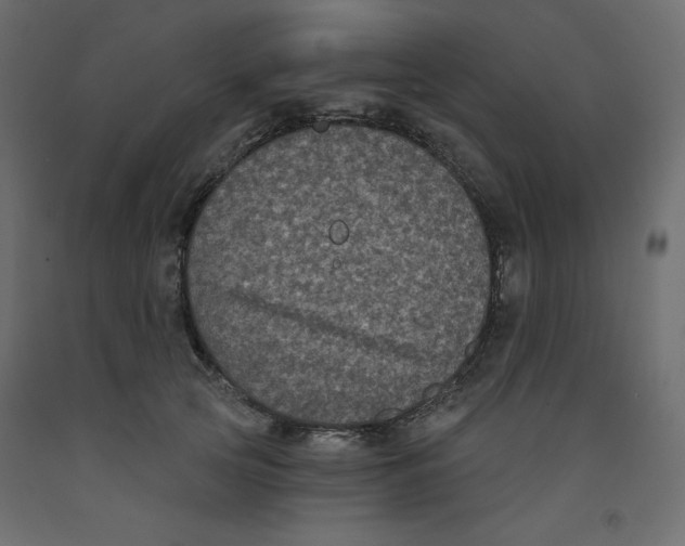 X0000092320753200710121522
