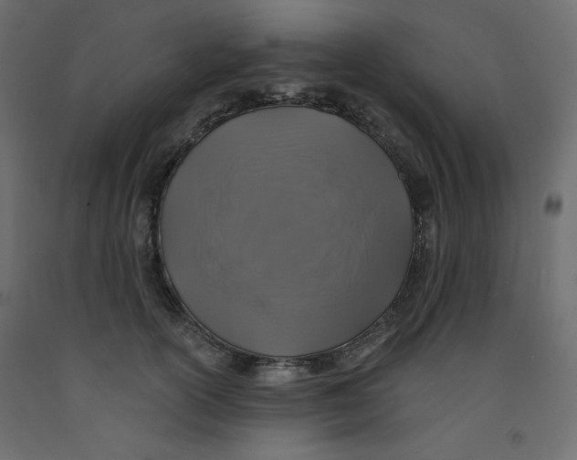 X0000092320754200710121522