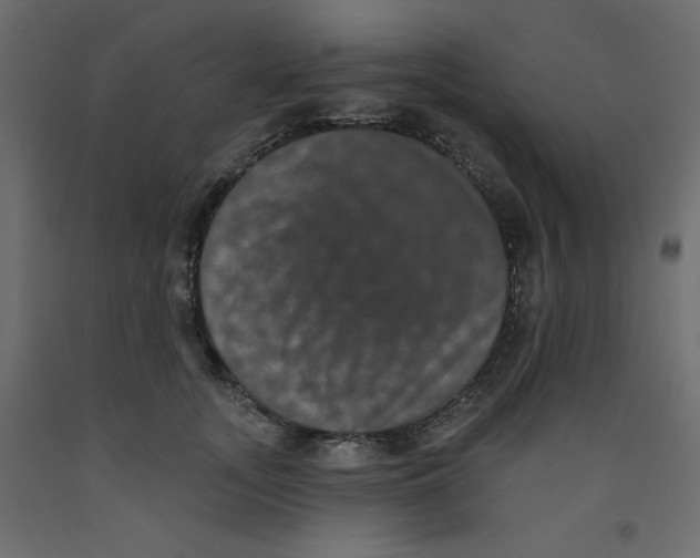 X0000092320755200710121522