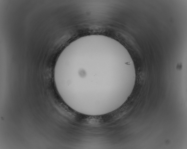 X0000092320756200710121522
