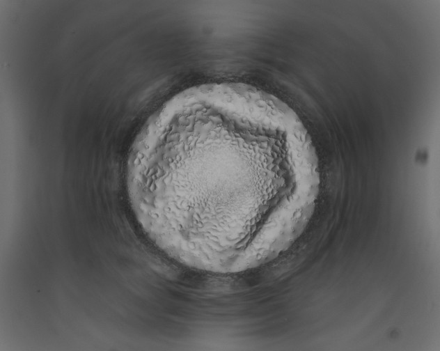 X0000092320757200710121522