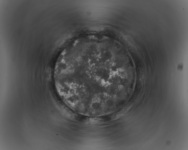 X0000092320758200710121522