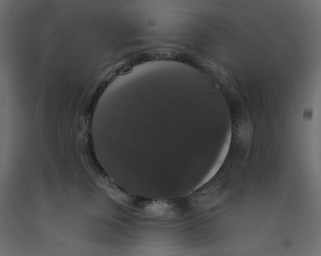 X0000092320759200710121522
