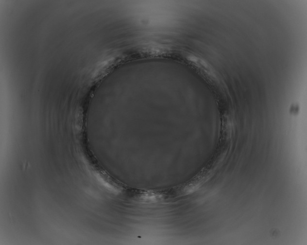 X0000092320760200710121522