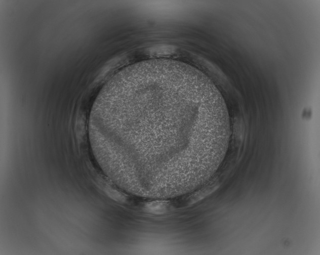 X0000092320761200710121522