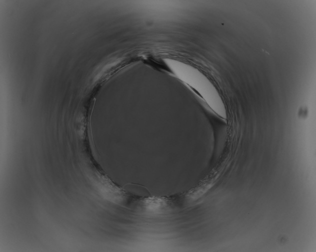 X0000092320762200710121522