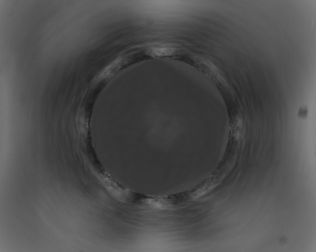 X0000092320763200710121522