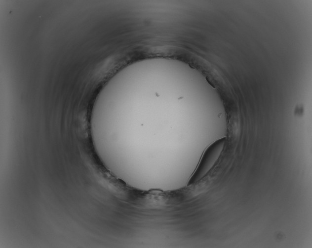 X0000092320764200710121522